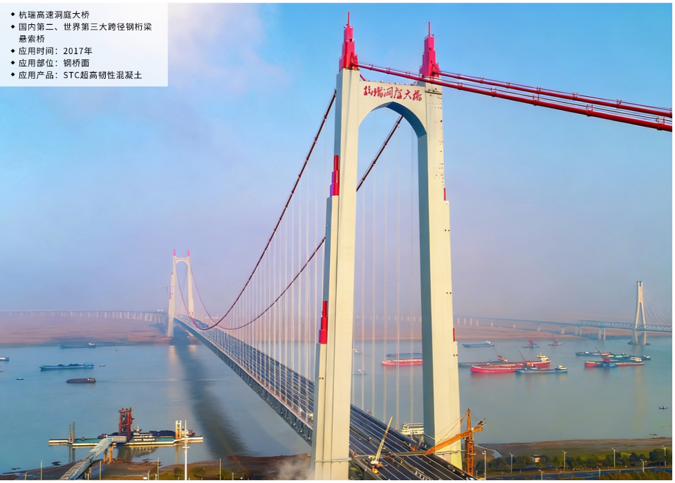 杭瑞高速洞庭大桥